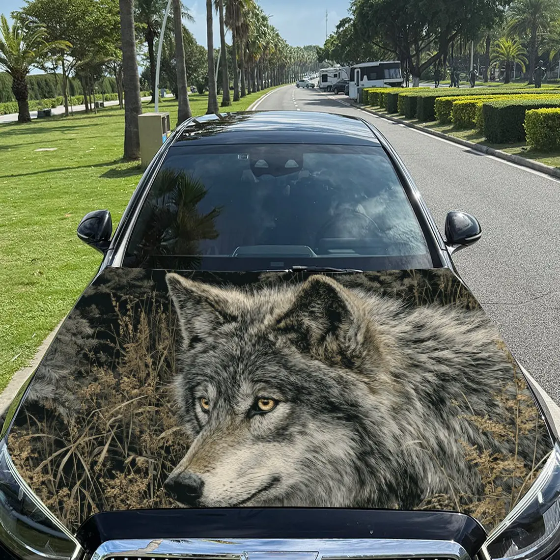 

Car Decals Wolf in Natural Foliage Textured Background & Artistic, Lifelike Visual Details Car Hood Sticker, Waterproof Self - A