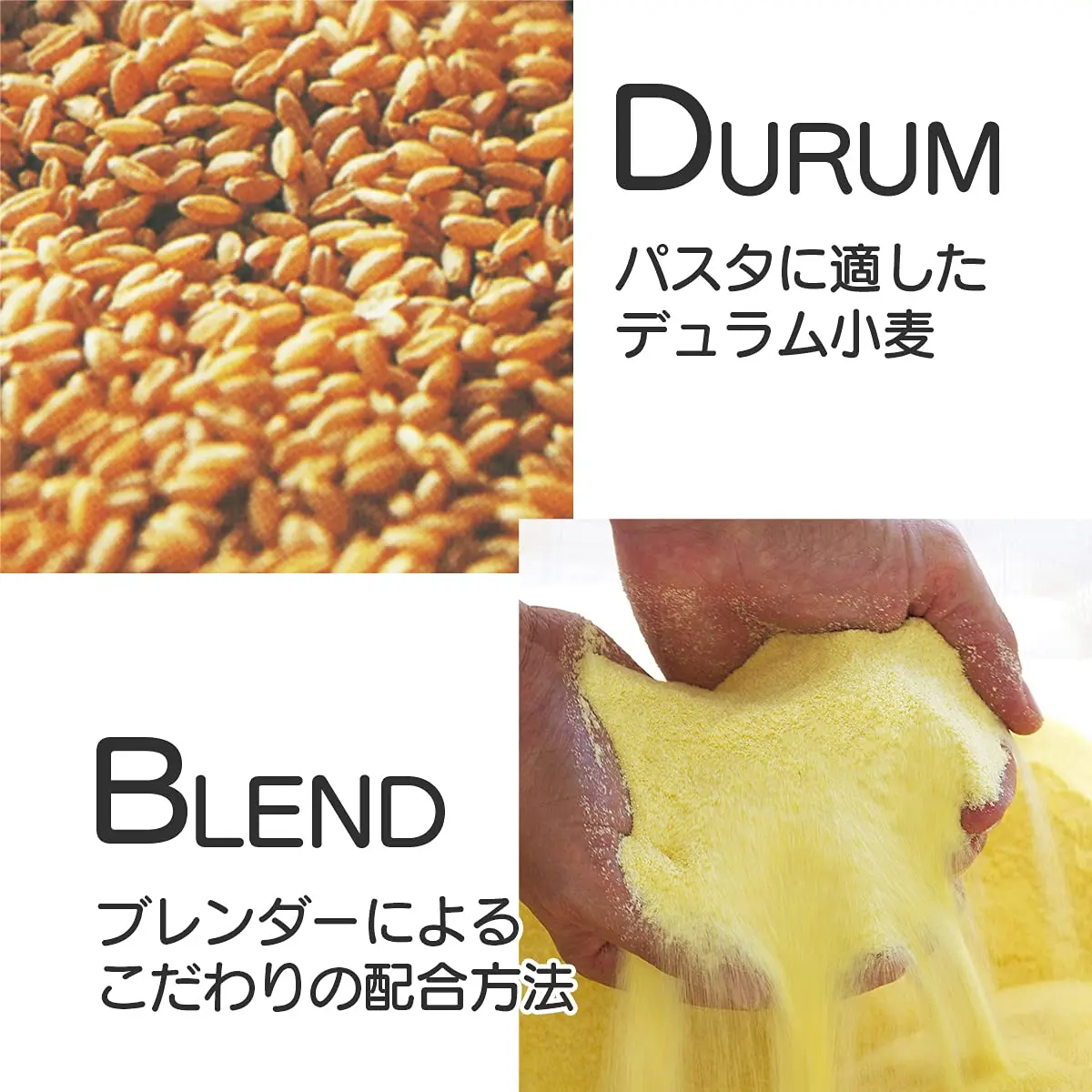 5x سيكو لازانيا طويل مزدوج ريشيا رقم. 1 معكرونة إيطالية 500 جرام