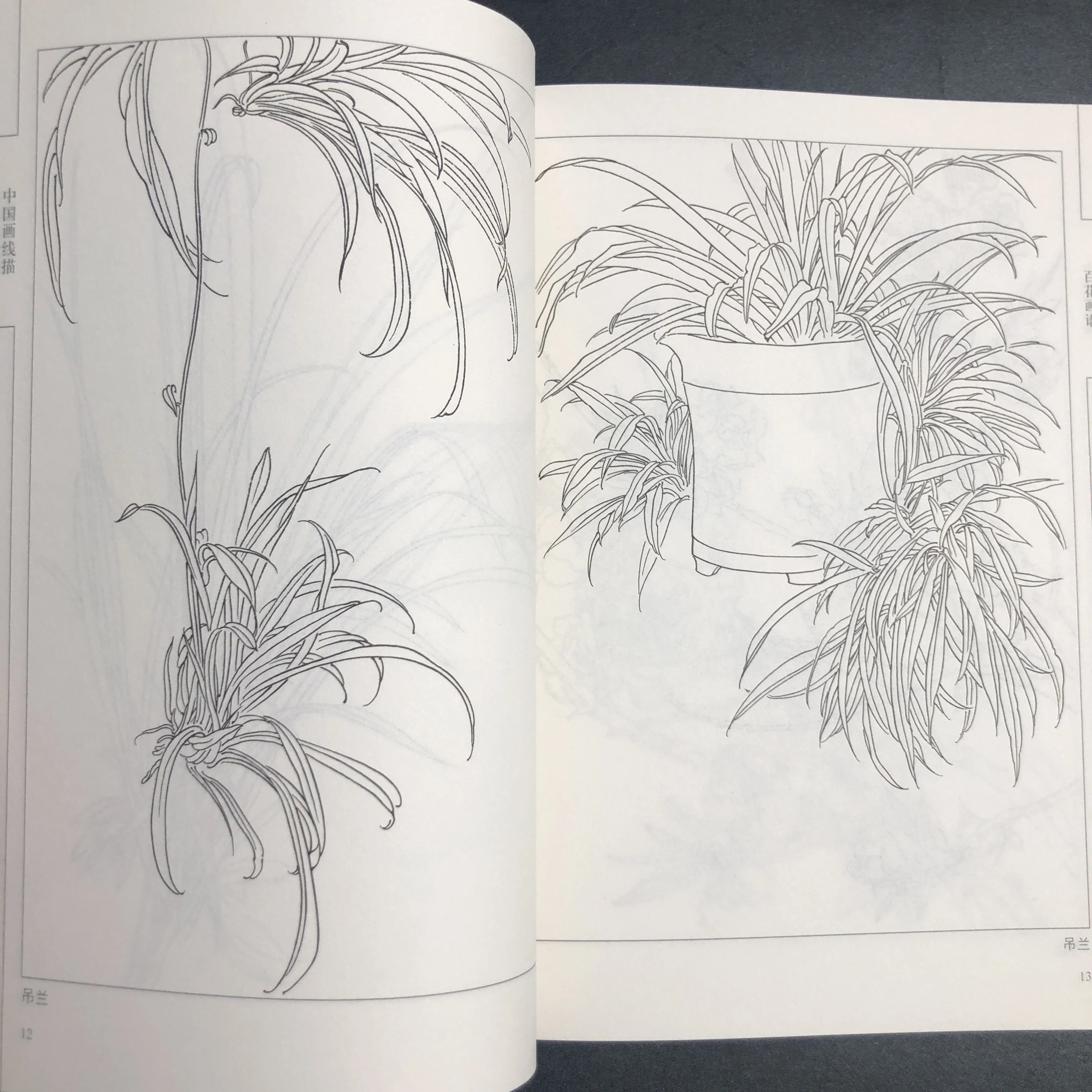 كتاب تلوين للبالغين والمراهقين يتميز بتصميمات سهلة وبسيطة لرسم الرسم الصيني للاسترخاء