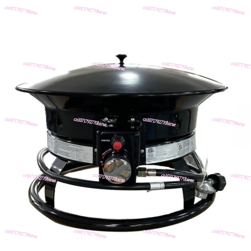 

Outdoor Gas Oven Portable BBQ Grill with Adjustable Flame