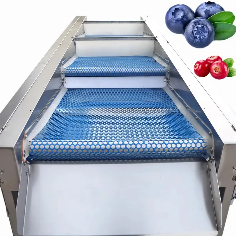 Blueberry Tomato Cranberry Vegetable & Fruit Sorting Grading Machine with 3 Grades High Efficiency