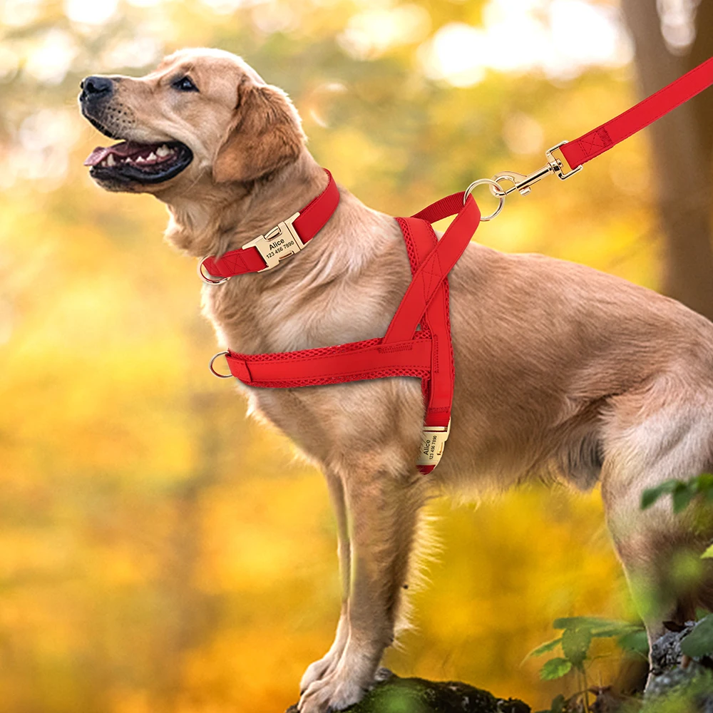 Spersonalizowany skórzany obroża zestaw smycz i uprząż Pet Mesh kamizelka uprząż dostosowane ID smycz dla zwierzęcia domowego dla małych średnich duże psy