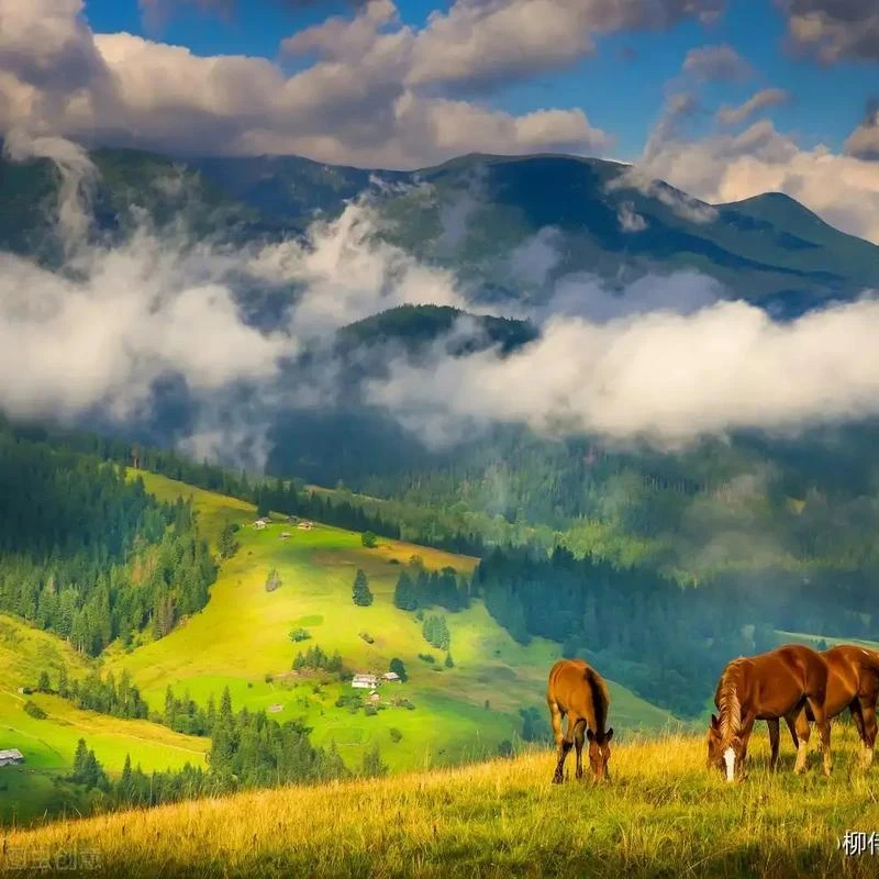 

Устройство для укачивания младенцев в коляске: беспроводная Bluetooth-колонка с вибрацией, успокаивающей музыкой и белым шумом для сна