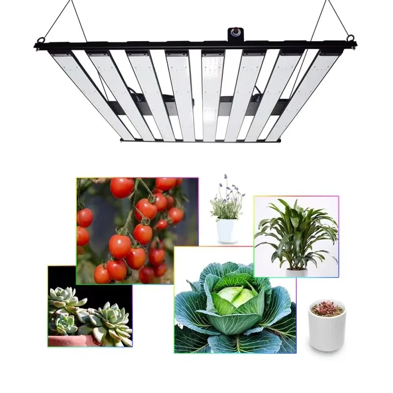 15% di sconto sulla luce di coltivazione a LED LM301H EVO da 1000 W IP65 Luci di crescita delle piante idroponiche impermeabili per il sistema di coltivazione interna