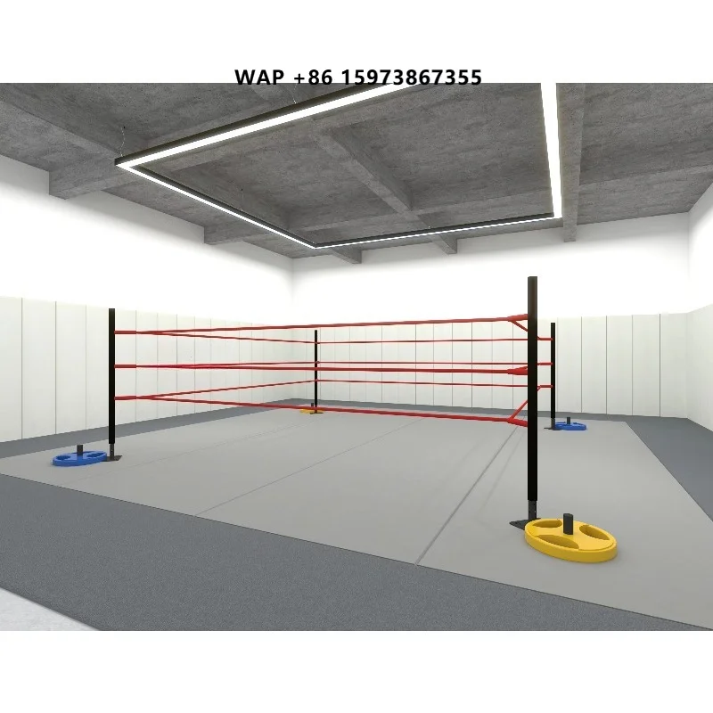 FPR Mini Boxing Ring at 3 X 3 m Portable Ring Designed for Homes or Light Training