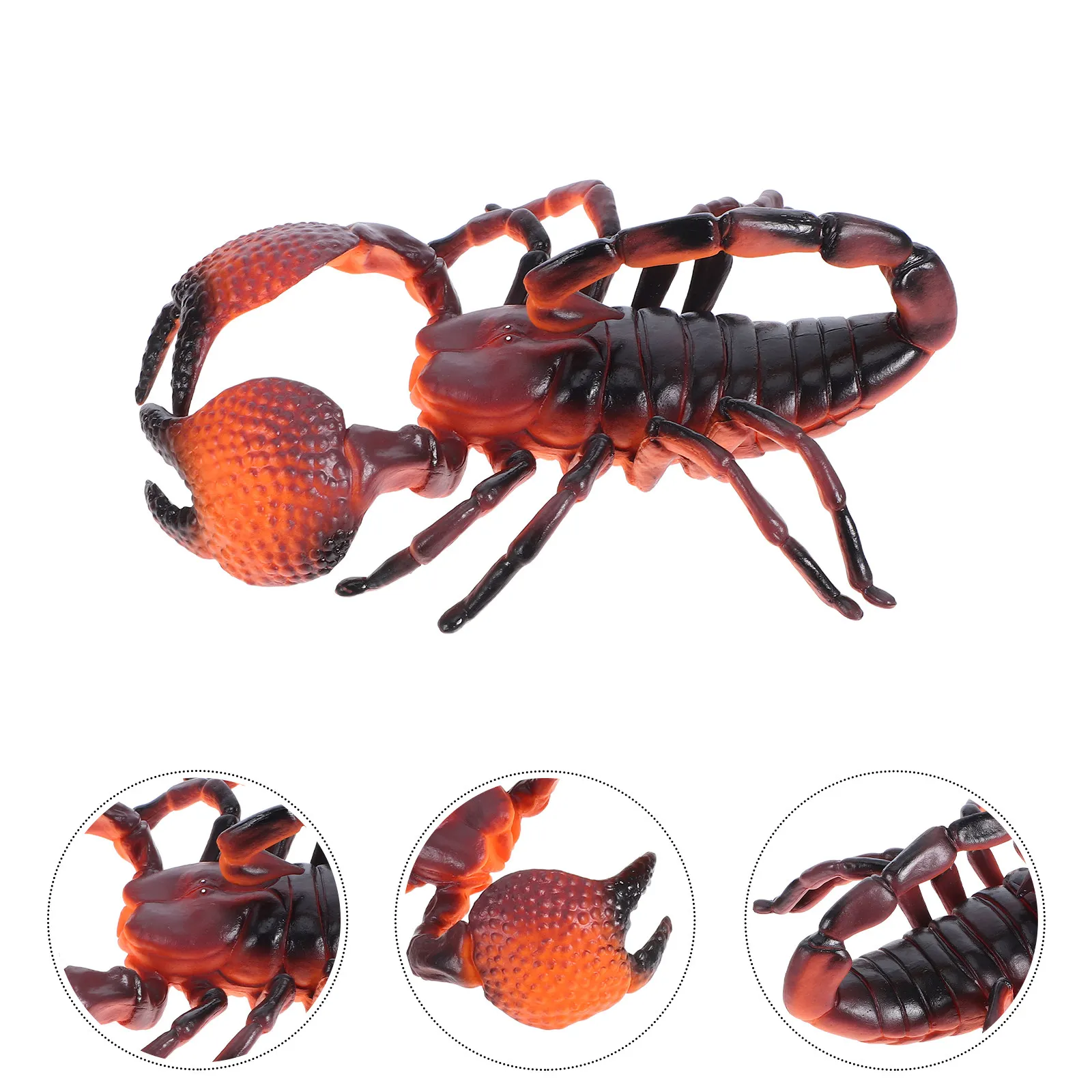 3Pcs Lifelike Scorpion Animal Models Realistic Detailed Educational Nature Exploration Tool for Kids Classroom