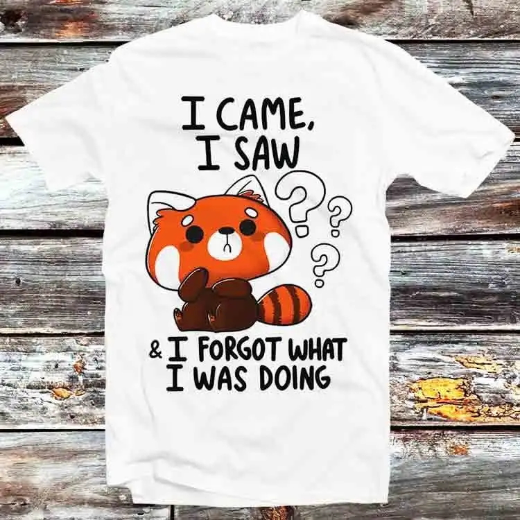 I Came Saw Forget What Was Doing Forgetful Red Panda Hilarious Witty Humor T Shirt Vintage Retro Cartoon Anime Top B791