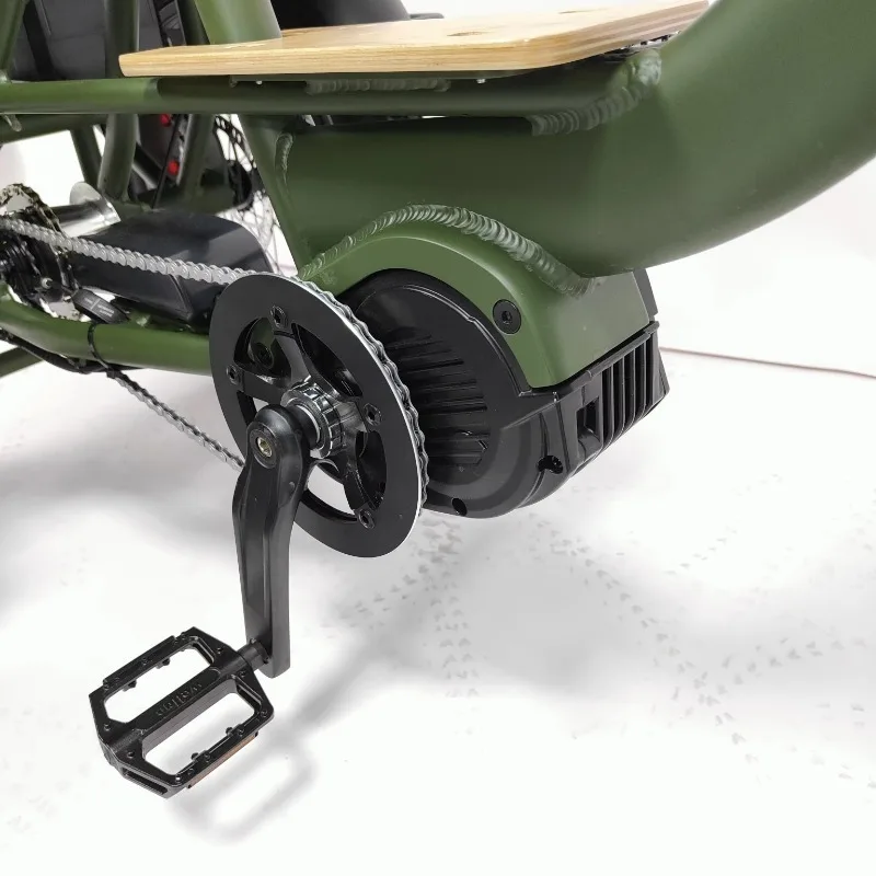 Three-Wheel Electric Tricycle 48V 17.5ah Bike Certified for Adults Hunting Cargo Steel Aluminium Open Body Type
