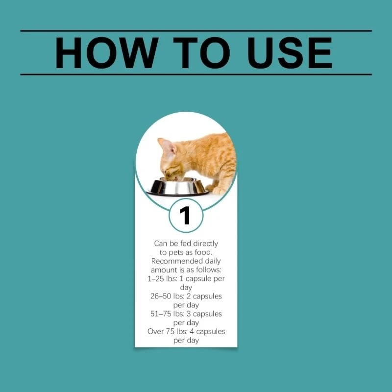 تعامل تخفيفات الإجهاد القطط مع الزنوج من سمك السلمون نكهة السلمون 87 هكتار