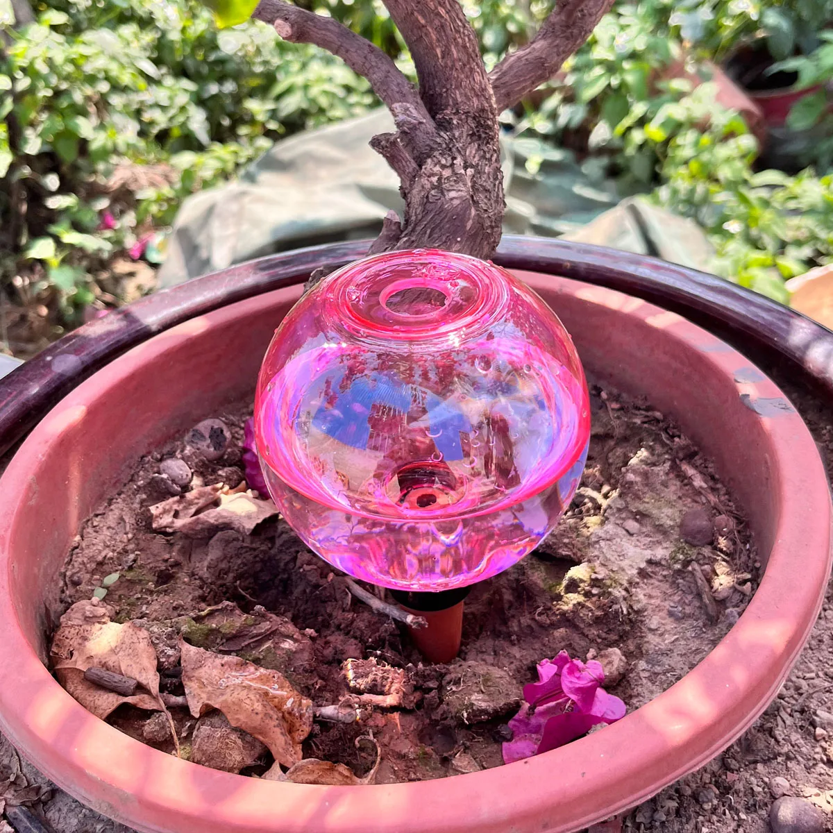 Thumbnail 4 - #14 Compare Watering Globes Before You Buy