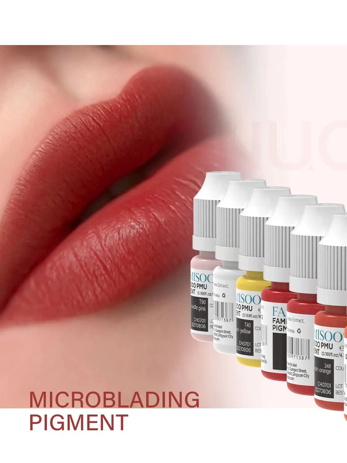 

FAMISOO 5ml Lip Ink Permanent Makeup Pigments Eyebrows Henna Professional Semi Permanent Microblading Tattoo Inks for Oily Skin