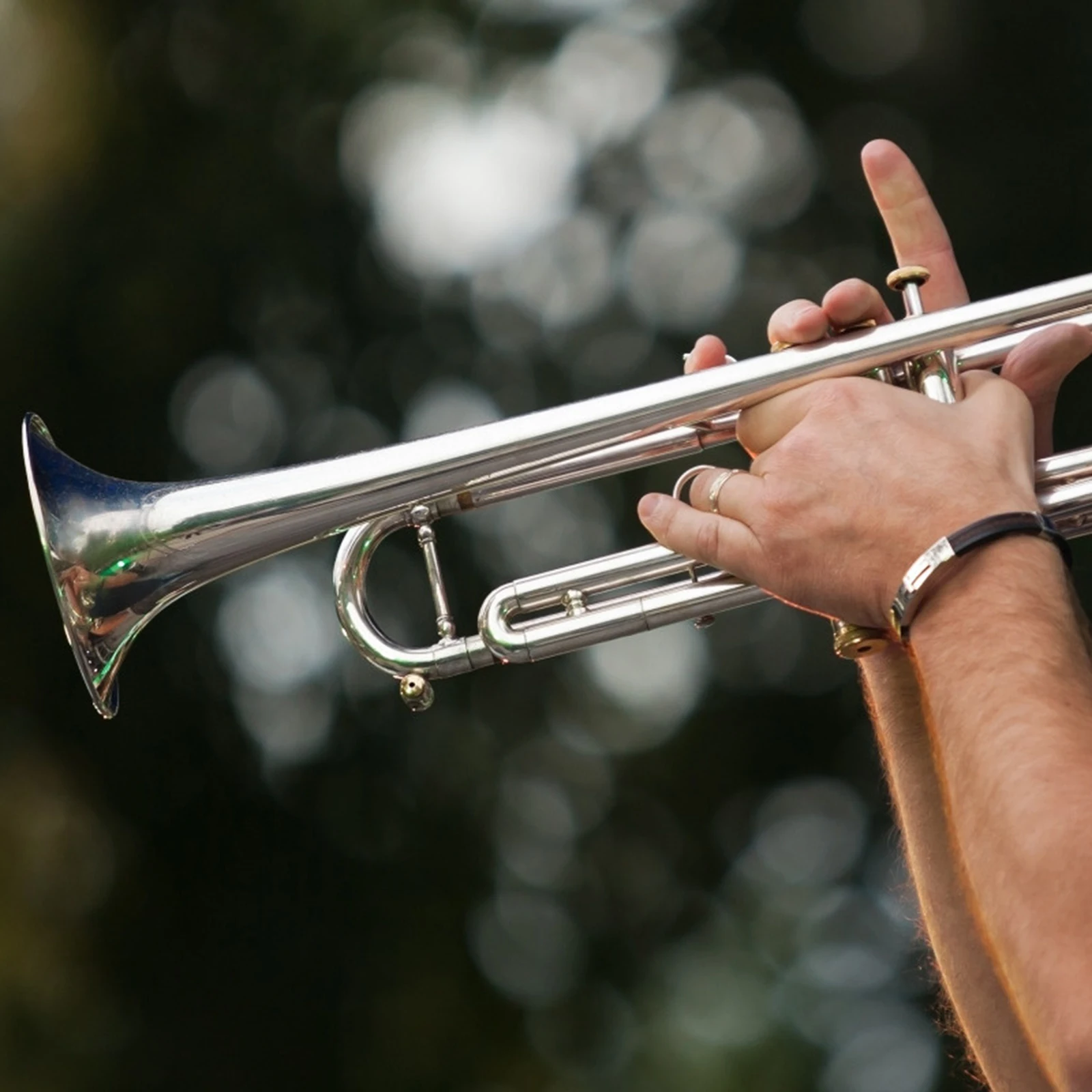 

Trumpet Finger Ring and Screw Small Hook Attachment for Musical Instrument B Flat Trumpets