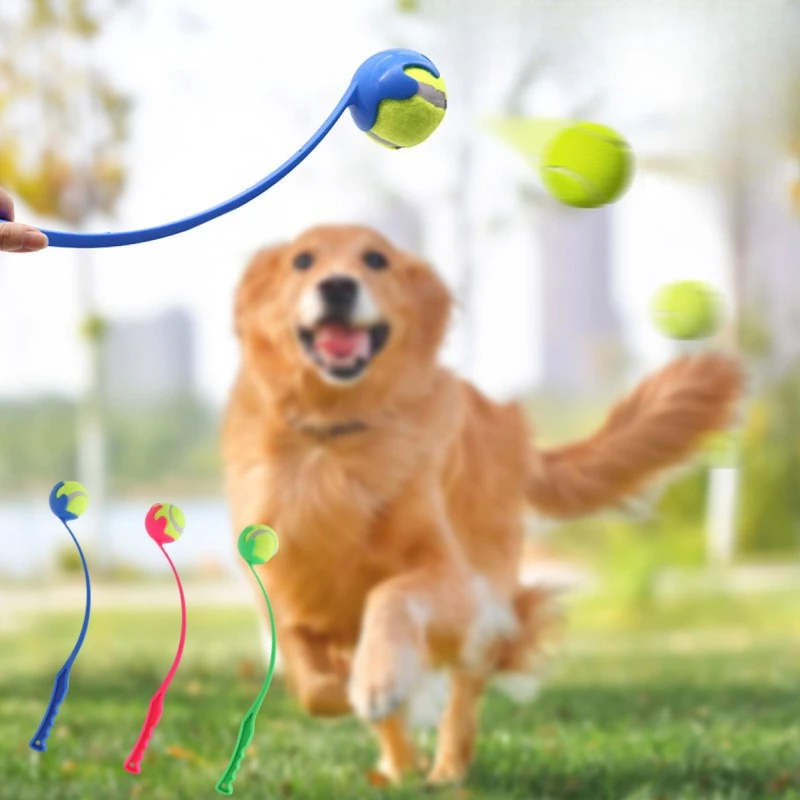 Pet Ball Launcher D…
