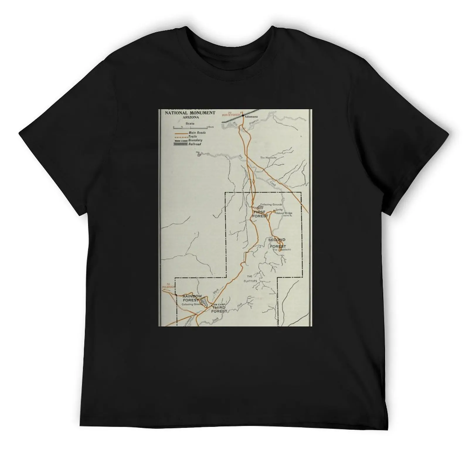 Vintage Petrified Forest National Park Map (1919) T-Shirt anime shirts graphic cotton graphic tees T-shirt men