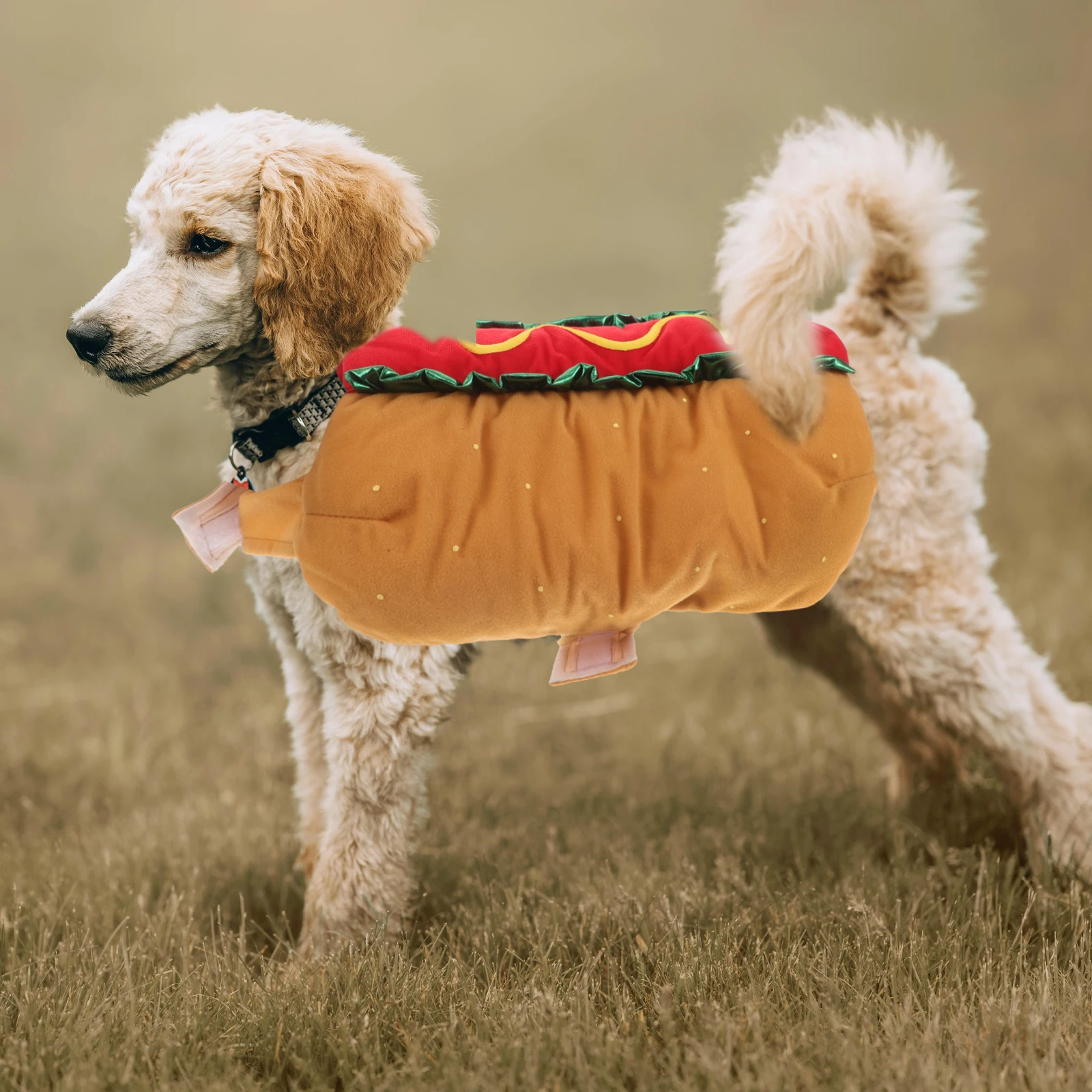 

s Hot Dog Transformation Costume for Small Dogs Cats Soft Polyester Pet Outfit Elastic Neck Halloween Doctor Uniform Stylish