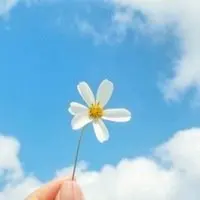 

Адаптер для ручной установки объектива XPIMAGE LM-L для объективов Leica M на камеры Leica Panasonic Sigma с L-креплением