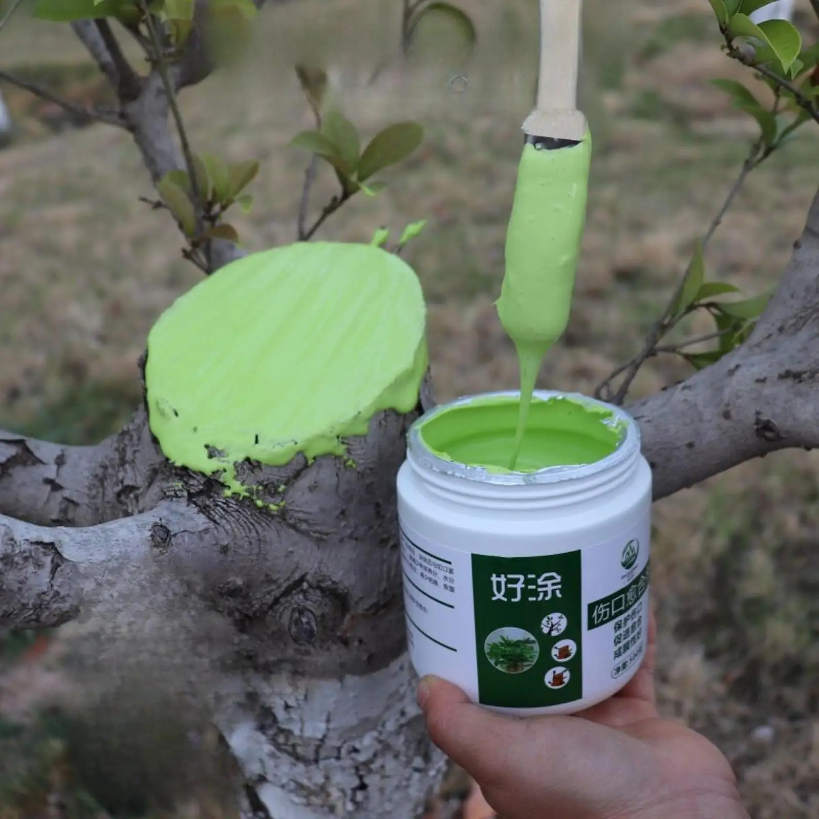 شجرة الجرح السدادة مصنع تطعيم لصق فعال تشذيب السدادة مع فرشاة النبات تطعيم لصق تشويه أدوات إصلاح شجرة #6