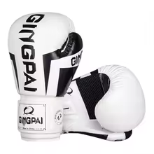 Discover Boxing Gloves for Muay Thai, Kickboxing