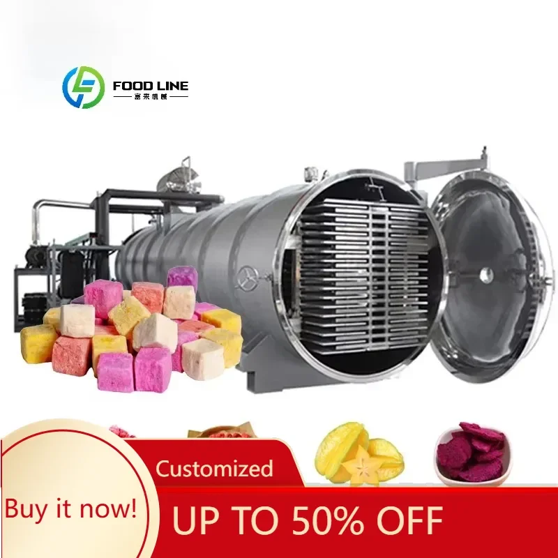 FL Vacuum Freeze Dryer Machine High Quality Freeze Drying Equipment Freeze Dryer Machine Customized