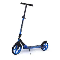 Youth City Oversized Two-Wheel Foldable Scooter City Work Campus Scooter