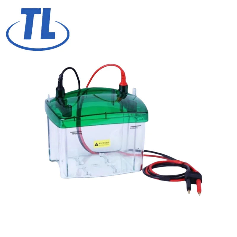 Mini-tb4 High Transparency Protein Gel Electrophoresis Tank Laboratory Equipment Transfer Electrophoresis Educational Supplies