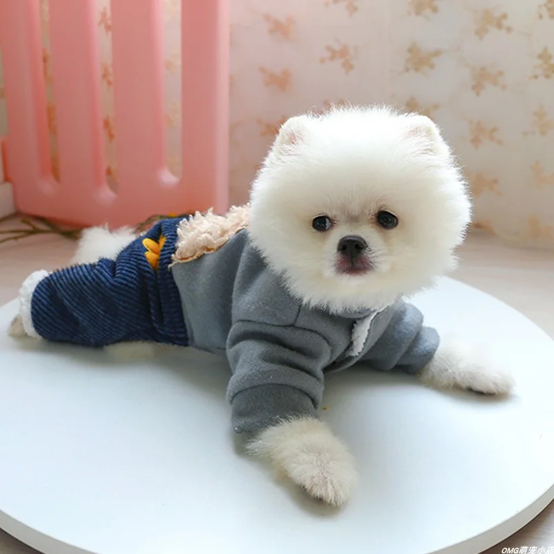 1PC pet clothes cat winter thickening powder blusher flower bear cotton padded jacket suitable for small and medium-sized dogs