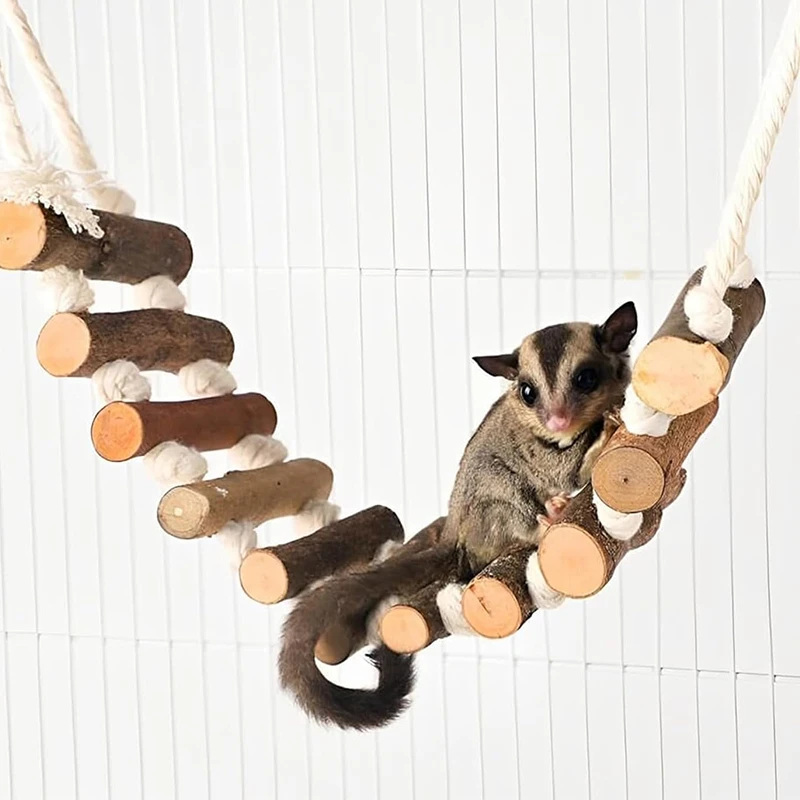 #17 Top Hamster Cages Picks for Every Budget