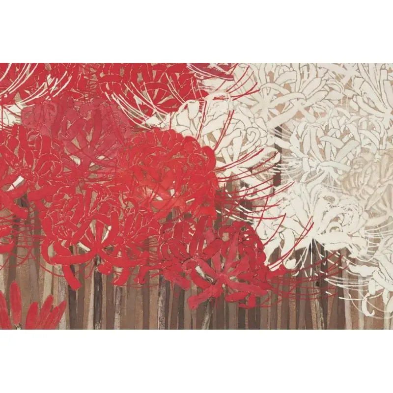 Mi Yi Zhuang Kiyoshi Muraoka Akaaka 9784865411430 Book