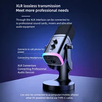 Professional RGB Light USB Gaming Microphone with ShockMount - Noise-Cancelling Mic, Plug & Play Recording,Streaming Equipment for Game Console, Mobile Phones, PCMusic Accessories Professional RGB Light 6