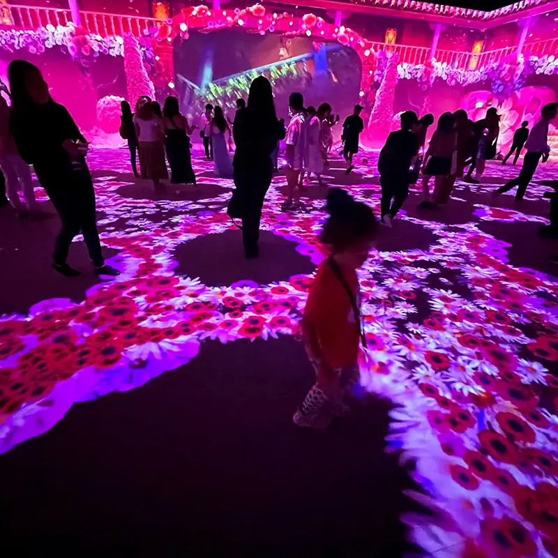 Creative 3D Projection Magic Mural Interactive Experience Naked Eye Virtual 3d Indoor Immersive Exhibition