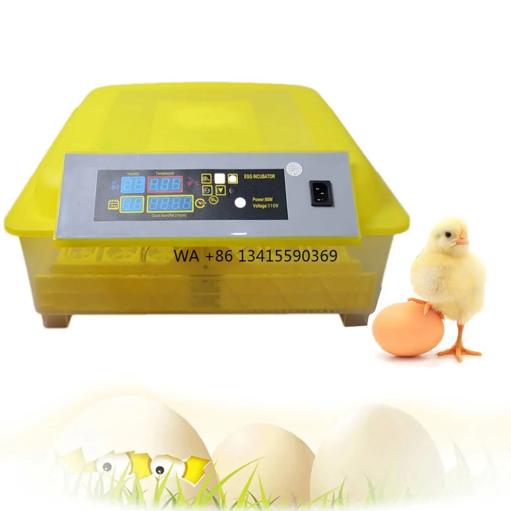 

Hot Sale Free Shipping Lz DC AC Dual Full Automatic 48 Chicken Mini Eggs Incubator
