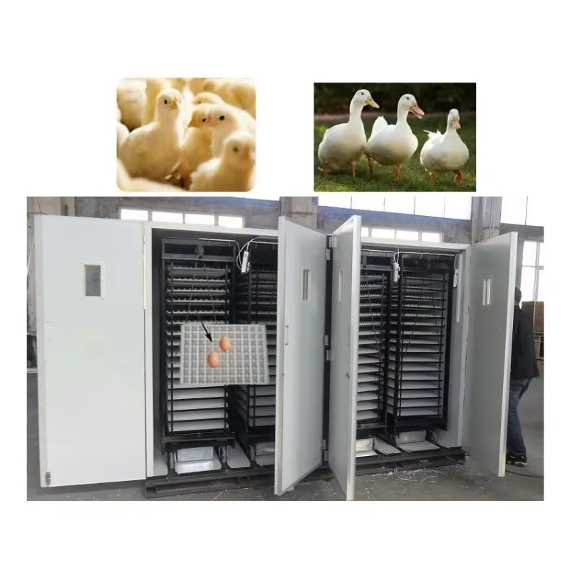 Industrial Professional Hatching Incubator Fully Automatic 22528 Egg Machine Chicken Duck Turkey Bird Customized