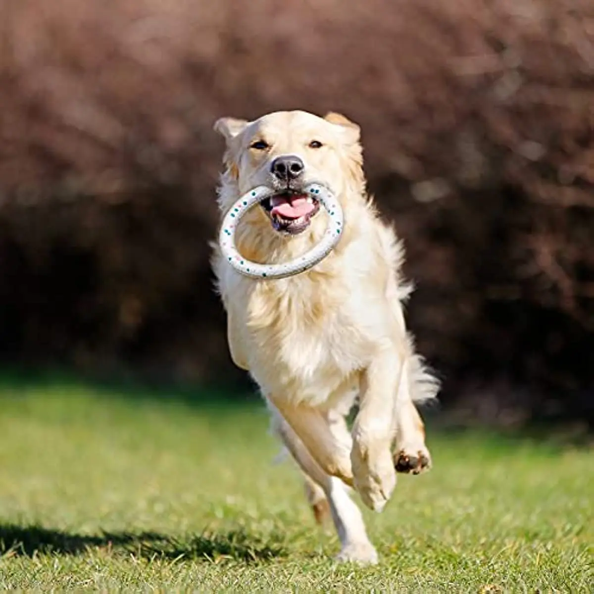 Dog Bite Ring Toys for Aggressive Chewers DurableDog Bite Ring Toys for Small Medium Dogs To Fetch Chew Play Dog Accessories