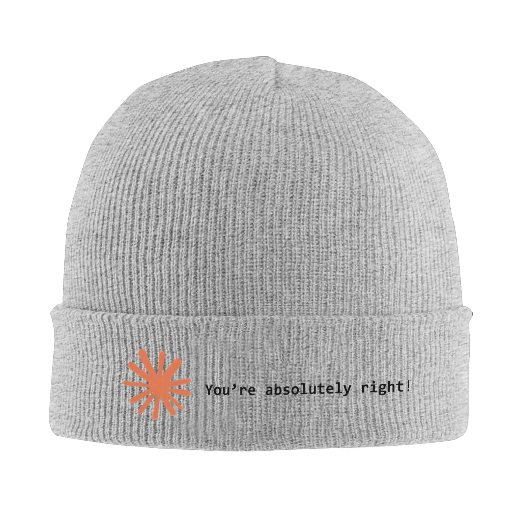 Claude Code You're Absolutely Right  Knit Hat Beanie Winter Hats Warm Unisex  Street  Cap Men Women Gift,