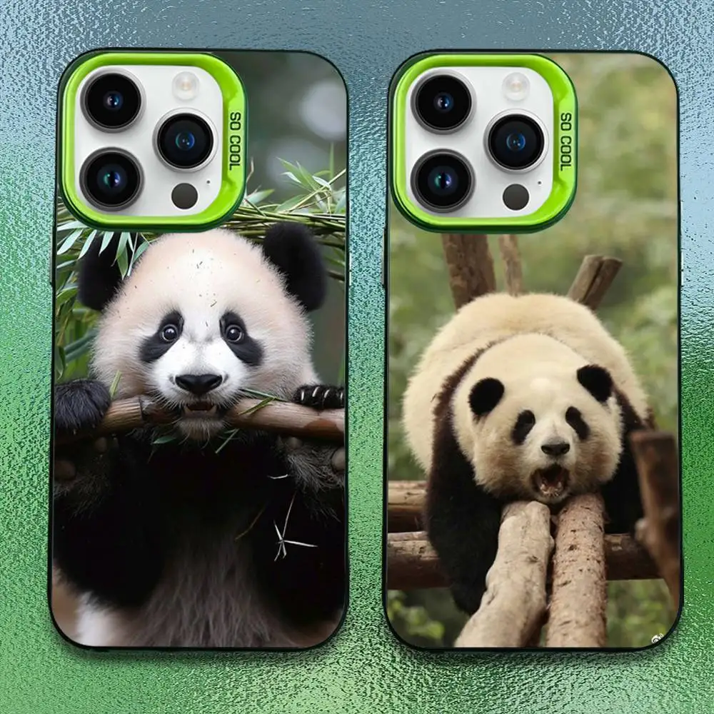 

Cute F-Fubao Animal Panda Phone Case For iPhone 16,15,14,13,12,11,Pro,Max,Plus,Mini,SE Anti Fall Green Matte Hard Bumper