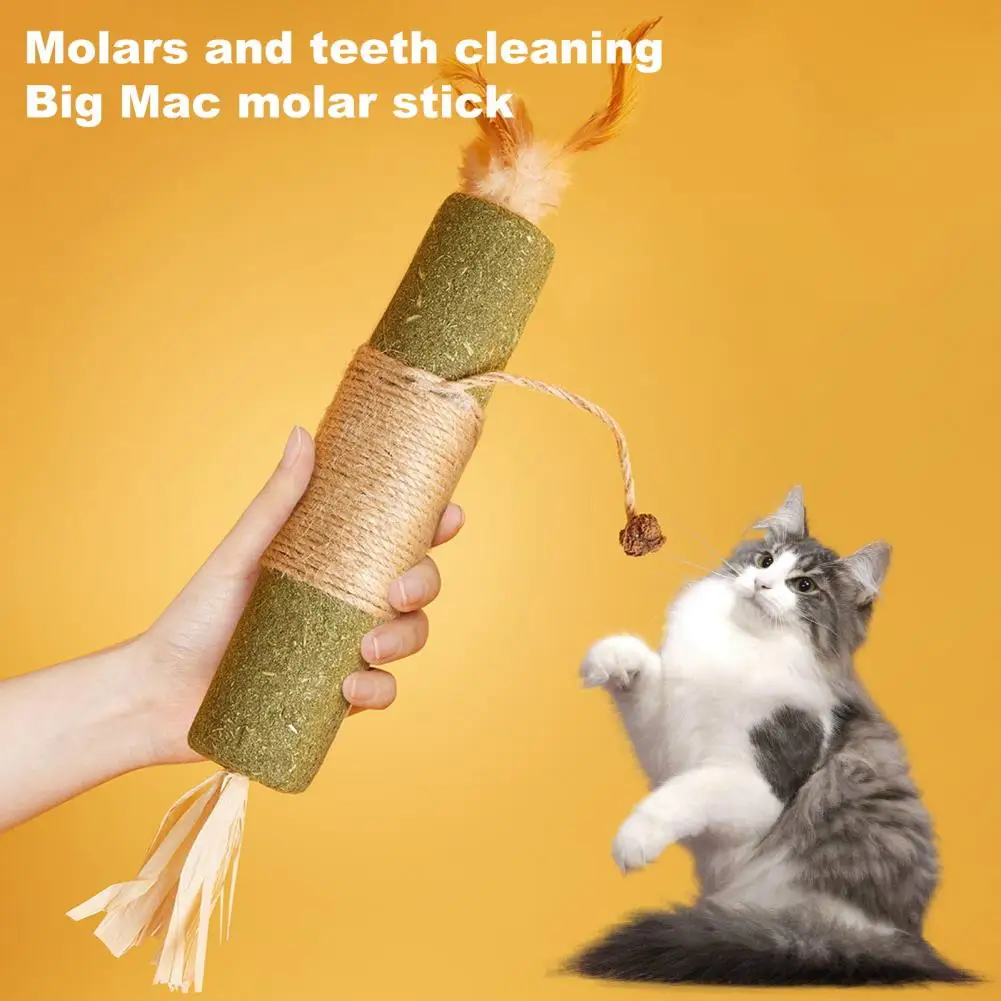 Motility Promotion for Cats Cat Chew Stick Cat Teething Toy Set with Silvervine Sticks Catnip Chew Stick for Indoor for Breeds