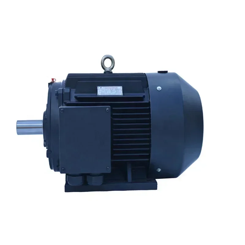 45kW TYP Series Synchronous Electric Permanent Magnet Motor for Water Pump Three-Phase Industrial Water Circulation System