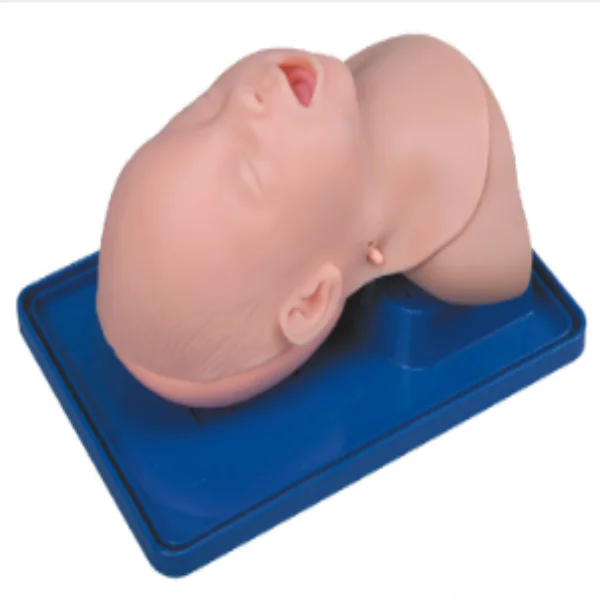 Infant Trachea Intubation Model