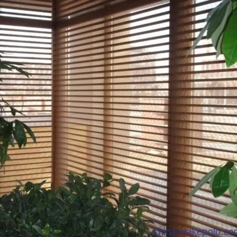 Electric Roller Shade Double Outdoor Retractable Motorized Blinds for Living Room