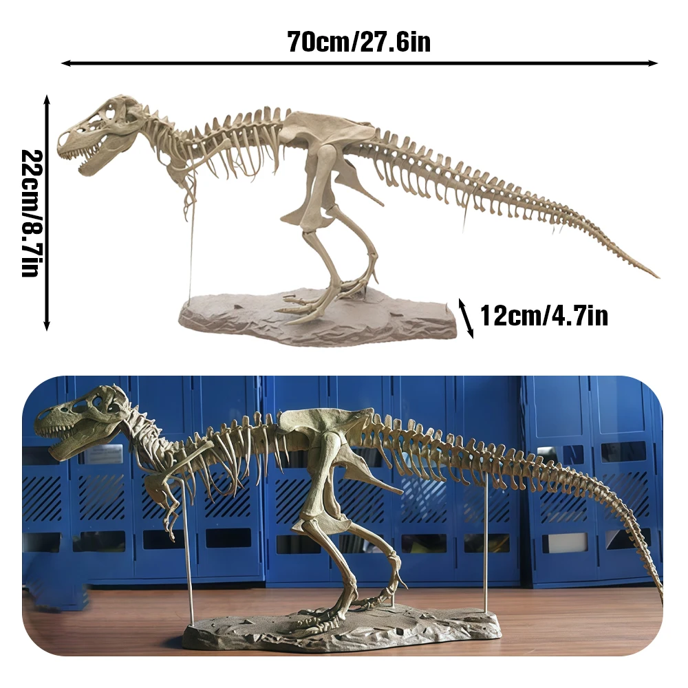 70 cm DIY-Dinosaurier-Skelett-Modellbausatz – zusammengebautes T-Rex-fossiliertes Spielzeug, Jurassic Park-Simulation, perfektes Geschenk für Jungen