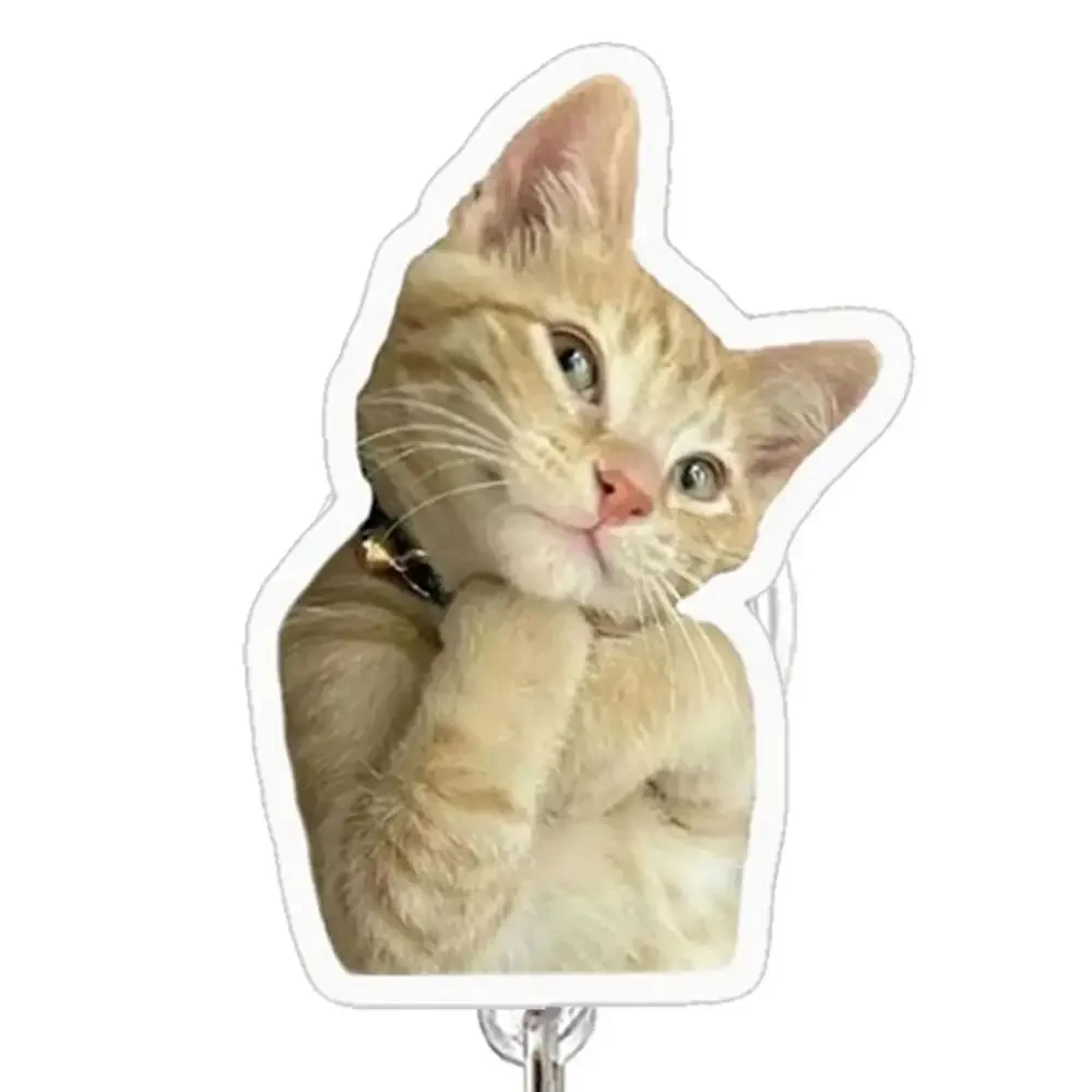 2pcs Gift Funny Cat Keychain Portable Memes Series Cat Bag Pendant Telescoping Acrylic Retractable Badge Holder Nurse
