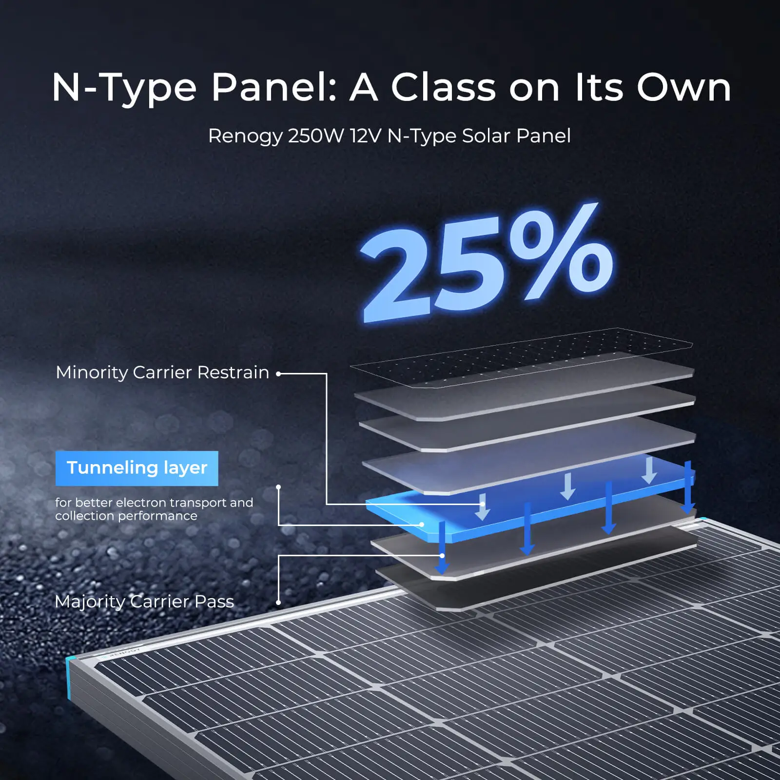 Renogy N-Type 16BB 250W Bifacial Solar Panel, 12V 250 Watt Solar Panel Double-Side 25% High-Efficiency, PV Module Power Charger