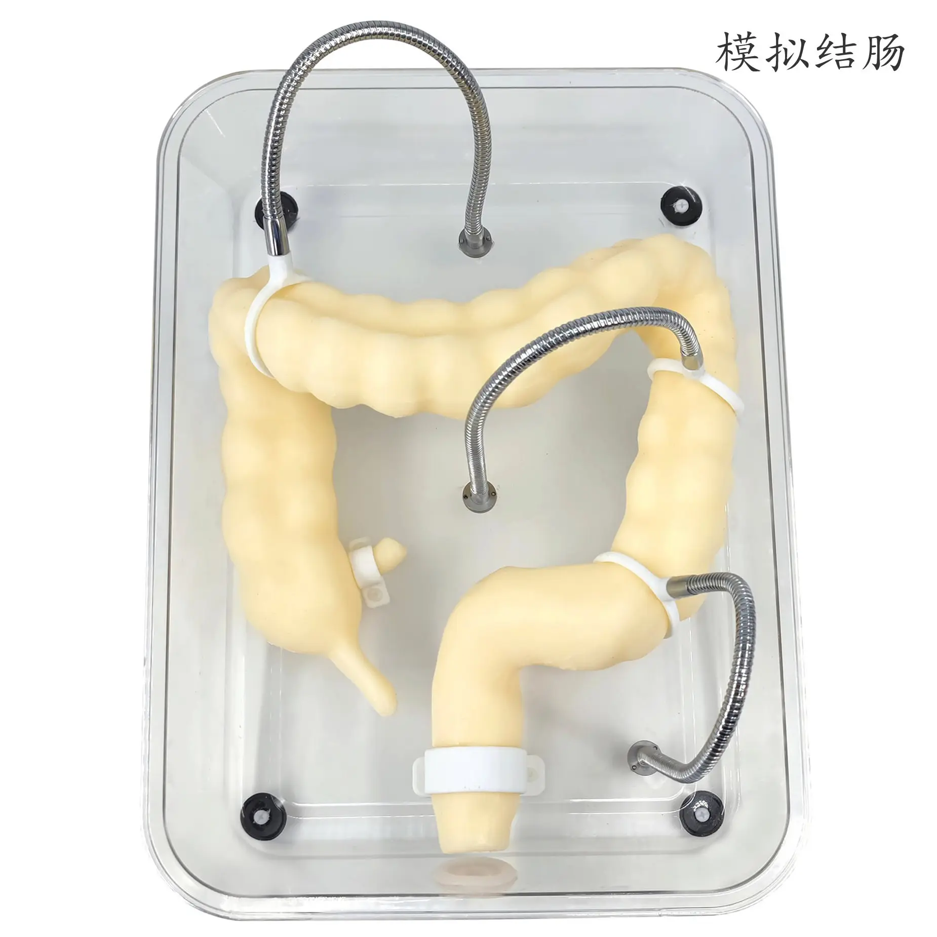 Soft simulated colonoscopy training model