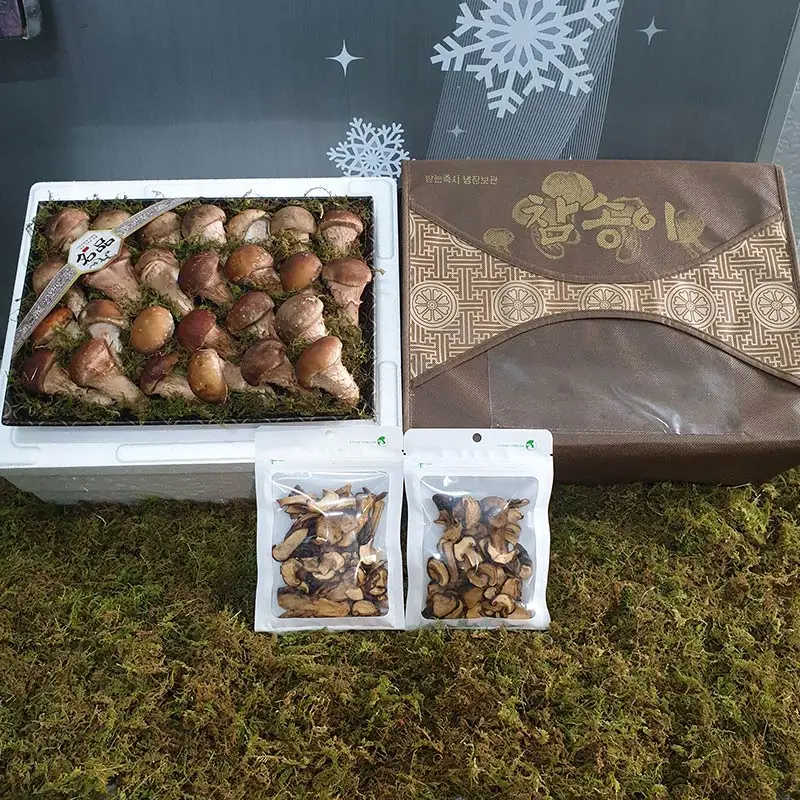 Eco-Friendly Pine Mushroom Gift Set: Compare Prices & Find Deals