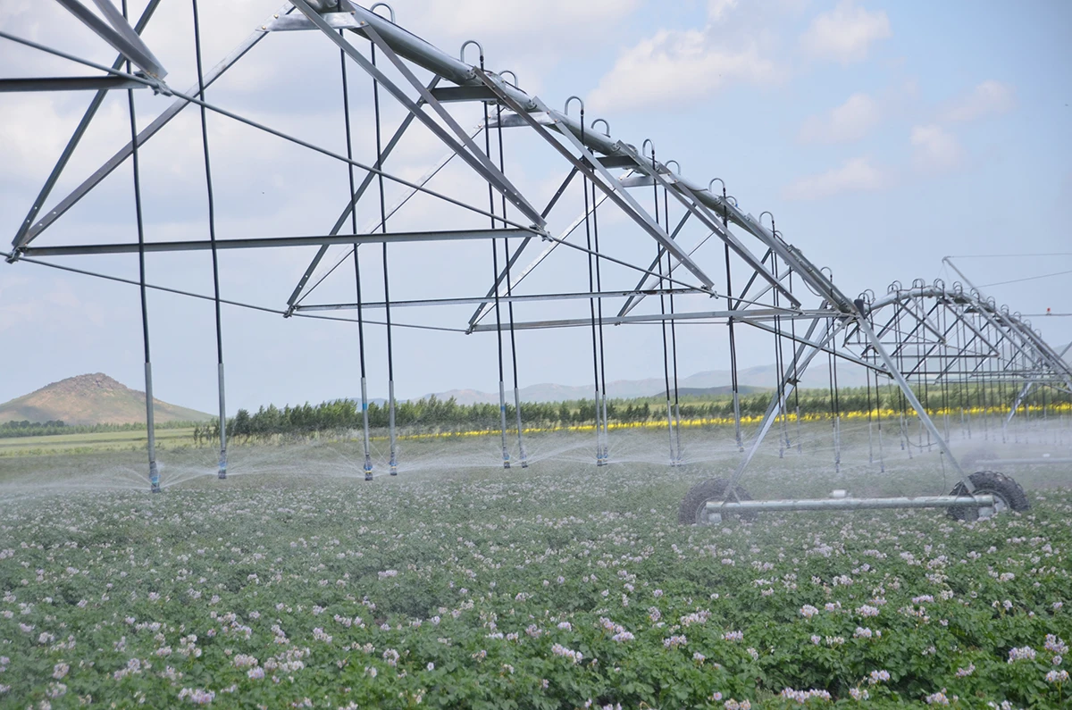 China high performance Center Pivot Irrigation System / Agriculture Machinery Equipment With Mobile Control For Sale