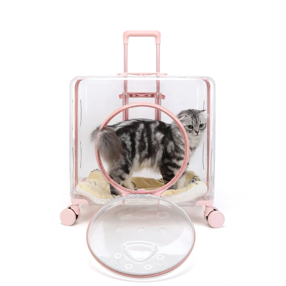 Versatile Outdoor Cat Carrier and Luggage with Transparent Design, Breathable Mesh, Multiple Pockets and Removable Wheels