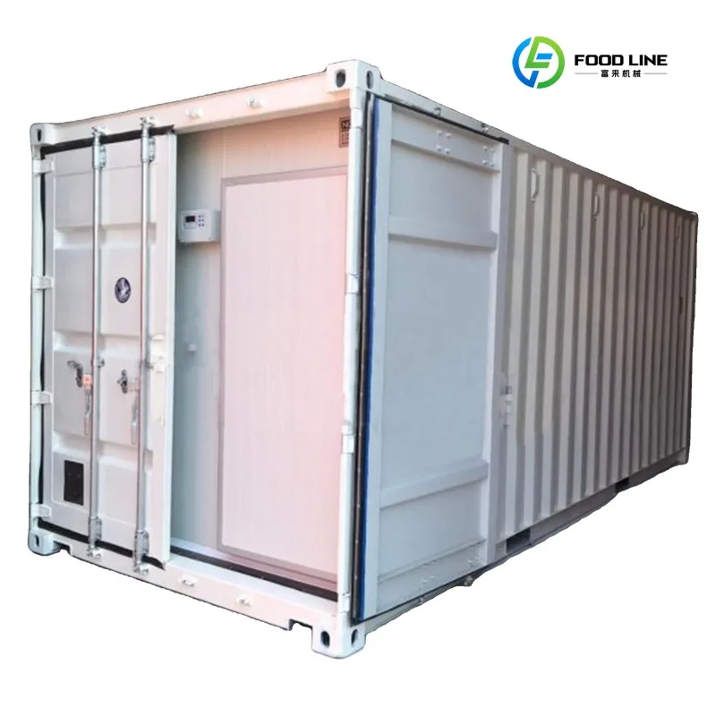 2026 New FL Wholesale Container Refrigerator Container Cold Room for Flake Ice Customized