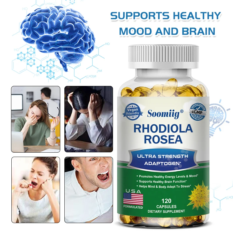 Rhodiola Rosea Capsules-Rijk Aan Fytonutriënten, Ondersteuning Van De Algehele Gezondheid En Het Evenwicht Van Het Leven, En Helpen Het Lichaam En De Geest Aan Te Passen Tostress