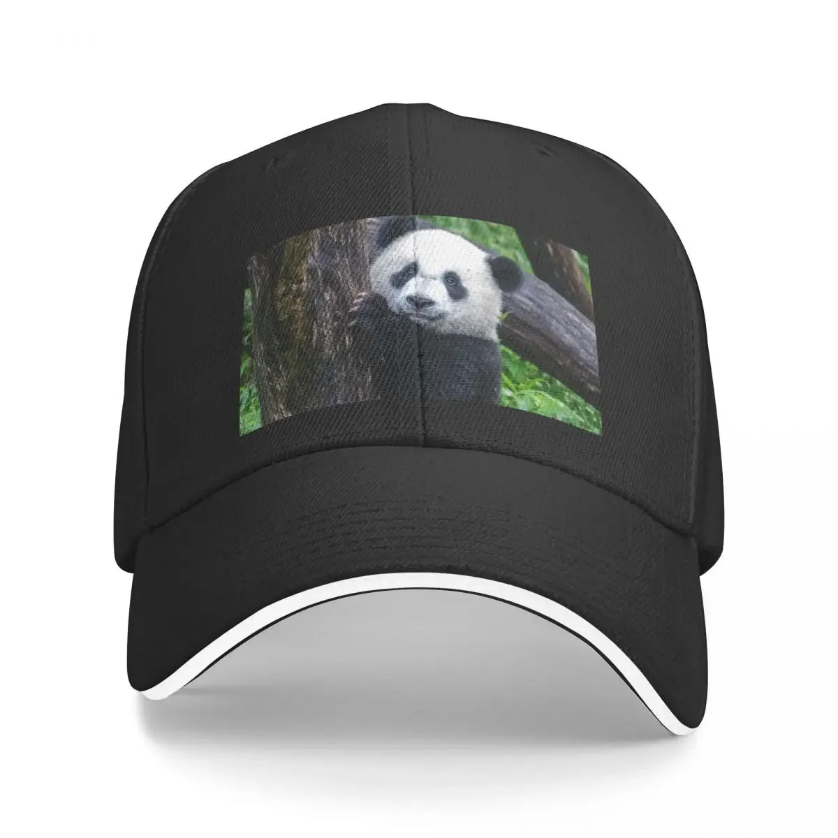 

Giant Panda Xiao Qi Ji at the National Zoo Baseball Cap Wild Ball Hat Snapback Cap Women Caps Men's