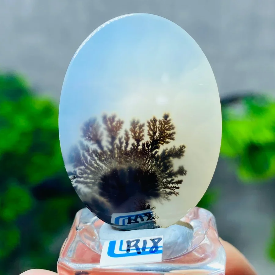 

Natural Dendritic Agate Crystal Slice Energy Reiki Spiritual Meditation Healing Home Feng Shui Decoration+Bracket